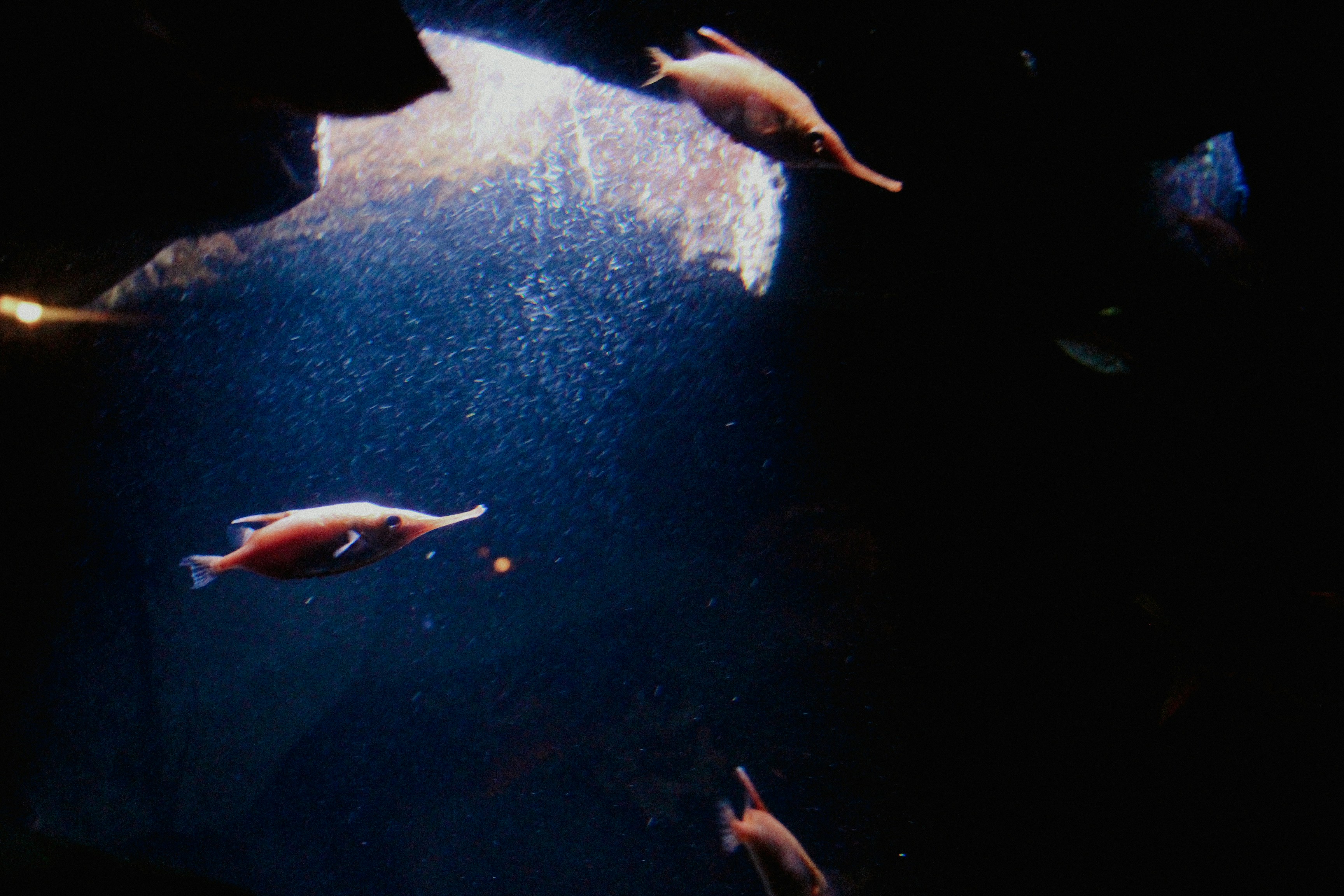 Motion Graphics main visual